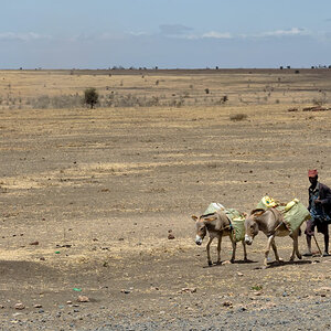 tansania weg natron 1