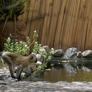 tansania lake natron camp 1