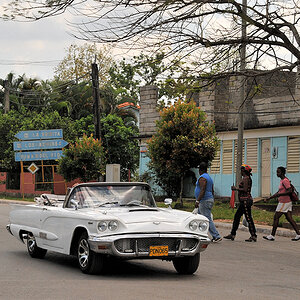 weiss in Vinales
6316