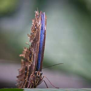 DSC3403