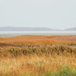 Boddenlandschaft