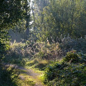 Lichtspiele im Morgendunst