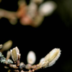 DSC 5319 DxO.1.2