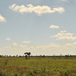 s536 Blick in den Nationalpark Ciénaga de Zapata
6600