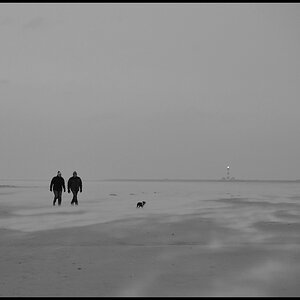 Westerhever