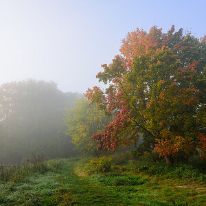 Herbst001a