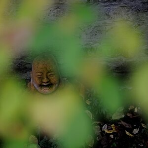 Buddhas Herbst