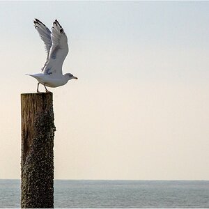 Ready for take off