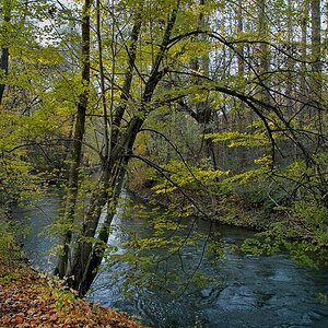 SDIM0141a 01