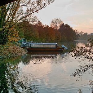 SDIM0163b 01