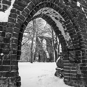 Eldena Winter 2