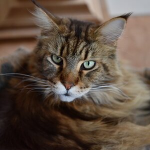 Rusty Nov2015