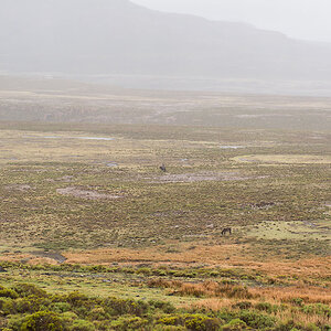 Drakensberge Lesotho 2