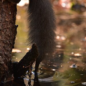 DSC 0711