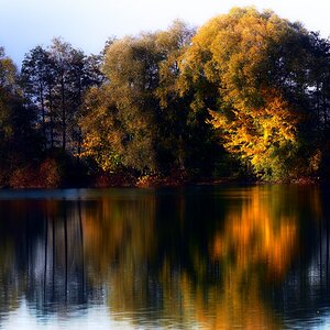 Goldener Herbst
