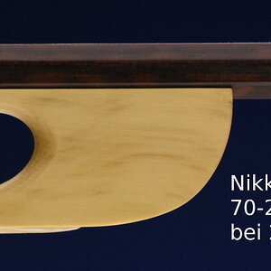 Nikkor Zoom 70-210mm, bei 210