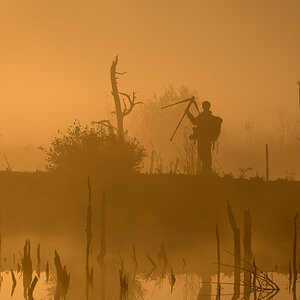 Fotograf am goldenen Herbstmorgen im Goldenstedter Moor