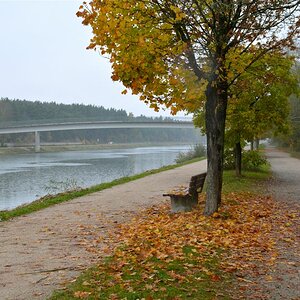 herbstsonntag am kanal