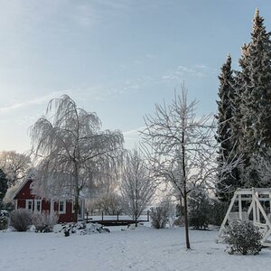 160122 Schnee im Garten