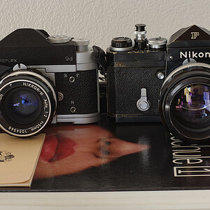 Nikon F & Alpa 9d