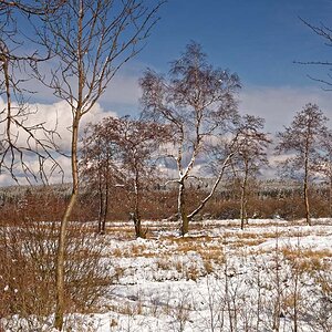 Winter 3220