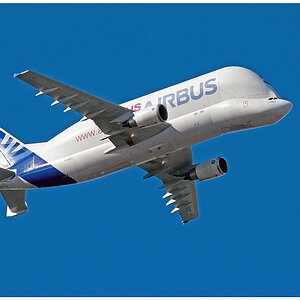D71 2943 Airbus Beluga 2 2016