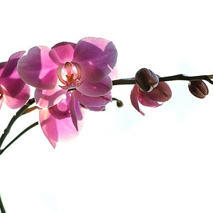 F011902c