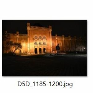 D5 ISO runs
