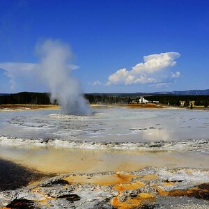 Yellowland