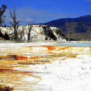Upper Basin 6