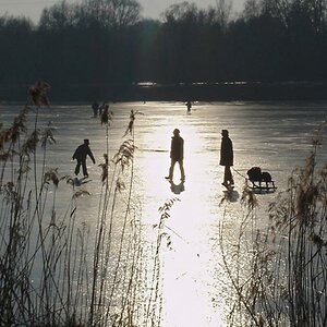 FE Wintersonne 373 B