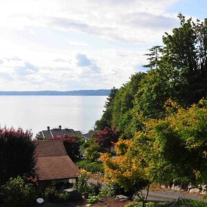 Blick aus dem Schlafzimmer Bed+Breakfast auf Puget Sound