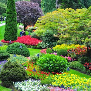 Butcharts Garden