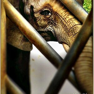 Zoo Duisburg