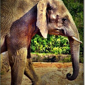 Zoo Duisburg