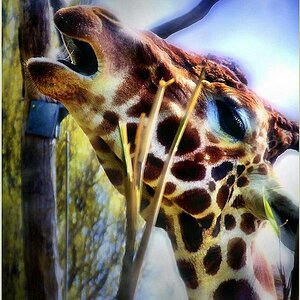 Zoo Duisburg
