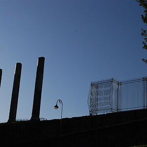 DSC 5855