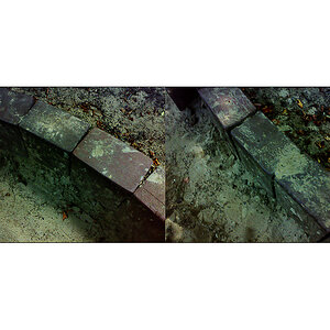 n002 online