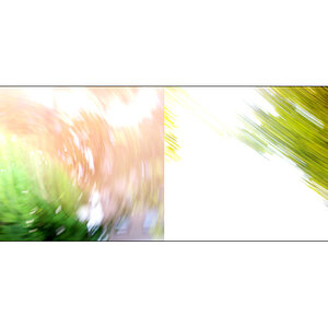 n003 online