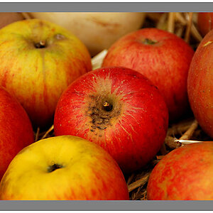 appel