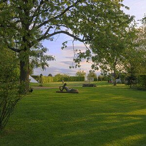 Garten in der Morgensonne 2 1024x678