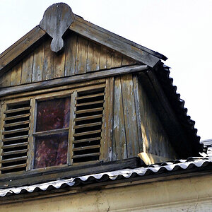 fenster mit taube