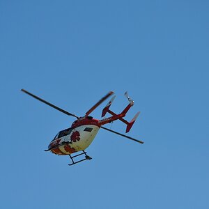 DSC 0012w