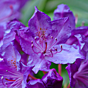 small0233