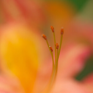 small0232