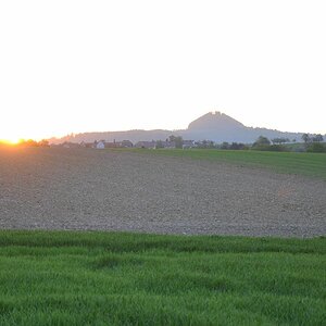 DSC 0536