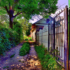 shady lane