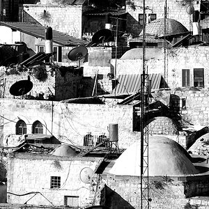 DSC 5548 web