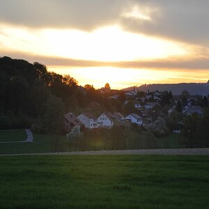 DSC 0553