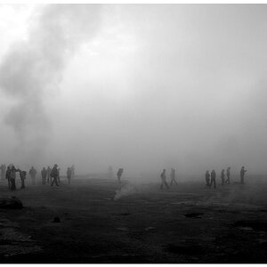 nebel web